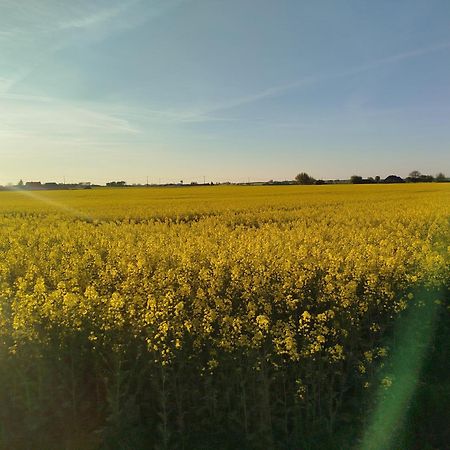 Tropikalna Odnowa Panzió Falkowo Kültér fotó