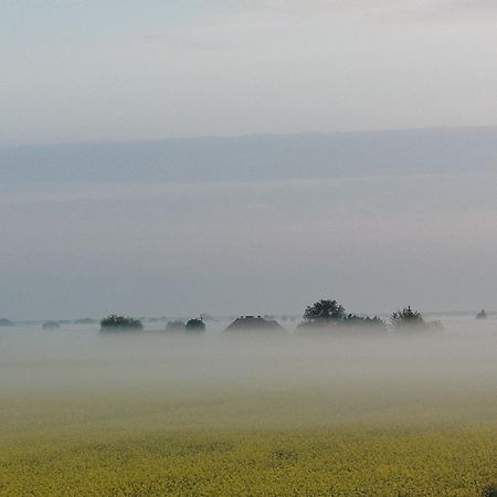 Tropikalna Odnowa Panzió Falkowo Kültér fotó
