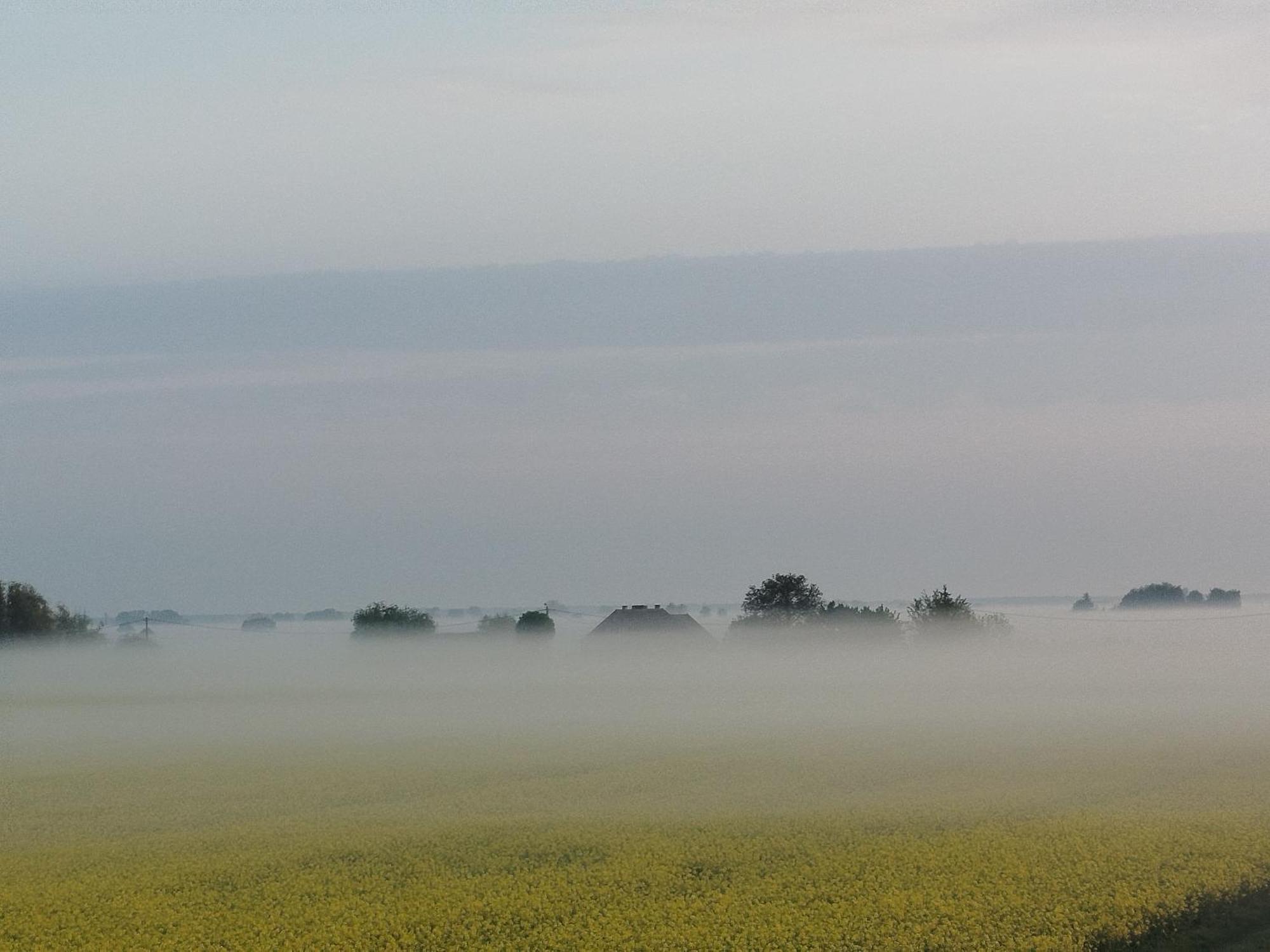 Tropikalna Odnowa Panzió Falkowo Kültér fotó