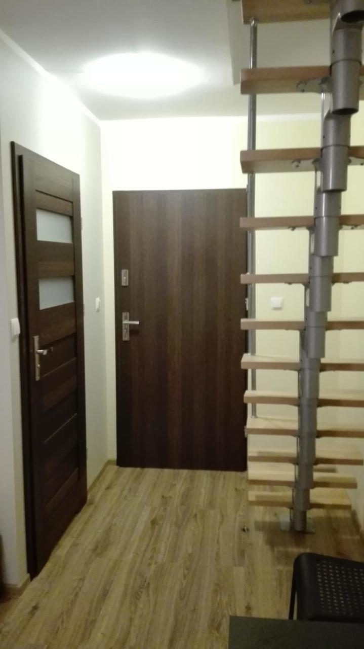 Tropikalna Odnowa Panzió Falkowo Kültér fotó